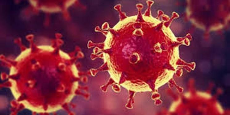 عظیم ترین منبع ویروس کرونا شناسایی شد