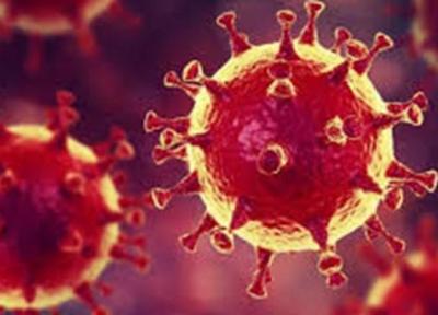 عظیم ترین منبع ویروس کرونا شناسایی شد