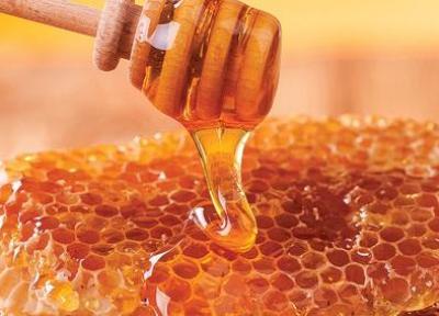 صادرات عسل به صفر رسید، دو تکه شدن بخش فراوری با تعلیق اجرای قانون انتزاع