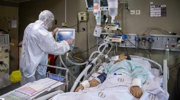فوت 50 بیمار کووید، 19 در شبانه روز گذشته