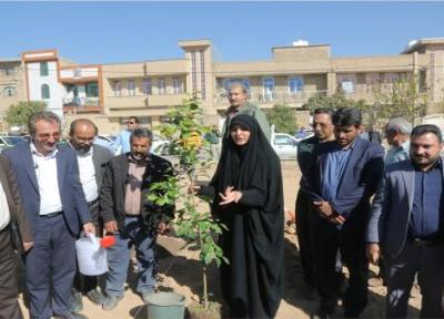 طرح کاشت فراگیر نهال در محلات کلانشهر شیراز